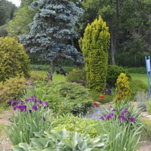 jardin japonais Jardin pour la Terre